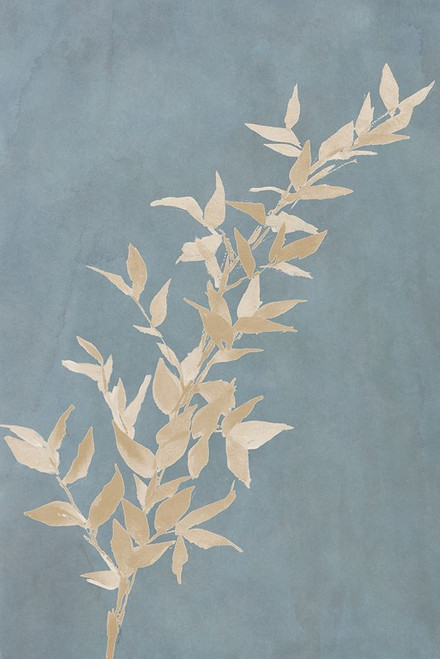 Tan Leaf on Blue II Poster Print by Lanie Loreth # 13617MB