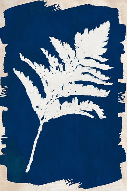 White Leaf on Navy I Poster Print by Lanie Loreth # 13617LD