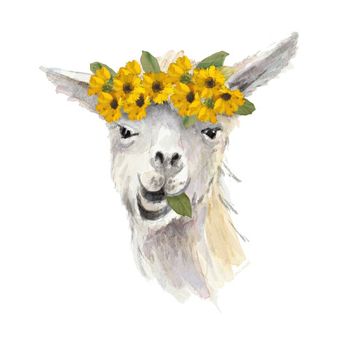 Floral Llama I Poster Print by Lanie Loreth # 13545LA