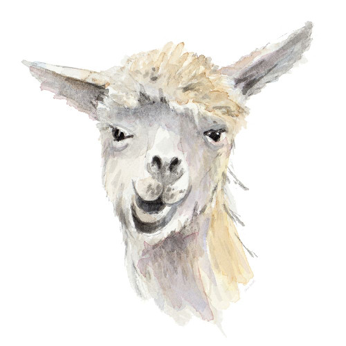 Talking Llama Poster Print by Lanie Loreth # 13545J