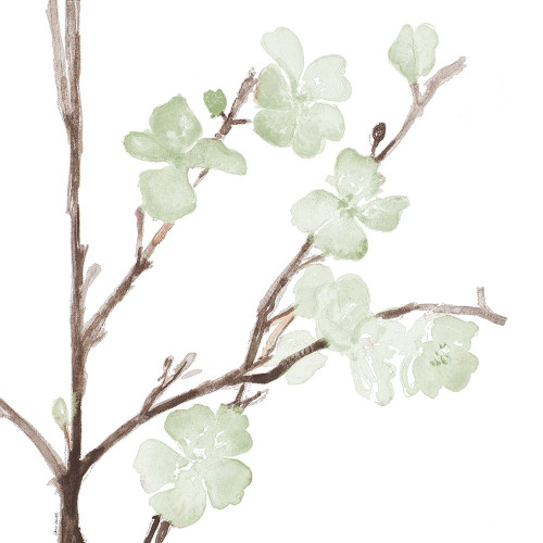 Mint Bloom Stems Poster Print by Lanie Loreth # 13605F