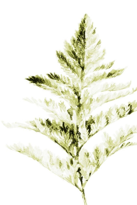 Single Branch I Poster Print by Lanie Loreth # 13617BM