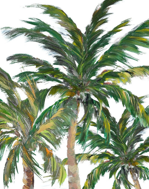 Tropical Trees on White III Poster Print by Julie DeRice # 13179L