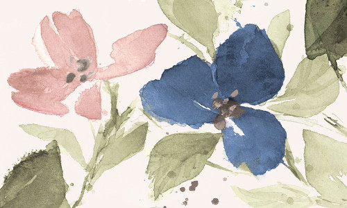 Watercolor Blooms I Poster Print by Lanie Loreth # 12880AA