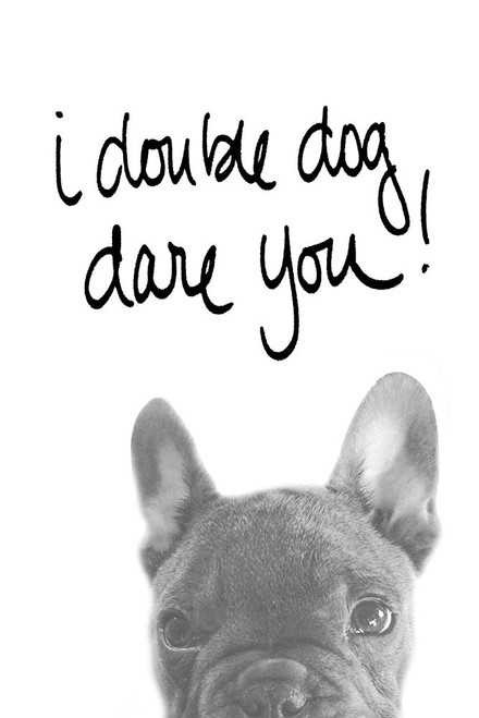 I Double Dog Dare You Poster Print by SD Graphics Studio SD Graphics Studio # 13051T