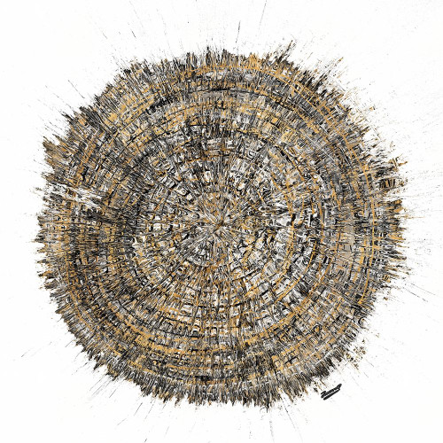 Mysterious Tree Ring Poster Print by Roberto Gonzalez # 12419TB