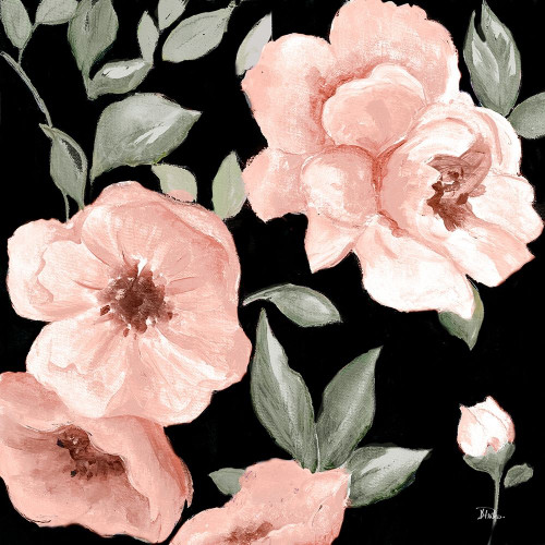 Dusty Rose on Black I Poster Print by Patricia Pinto # 10592N
