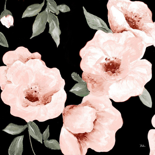 Dusty Rose on Black II Poster Print by Patricia Pinto # 10593N
