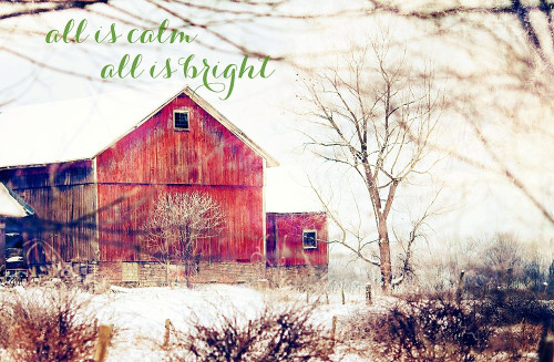 Calm and Bright Barn Poster Print by Kelly Poynter # 10489KK