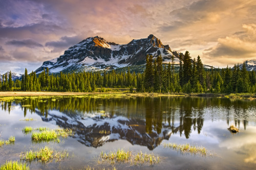 A tranquil lake reflecting the mirror image of a forest and rugged mountains, Banff National Park; Alberta, Canada Poster Print by Carson Ganci (19 x 12) # 33294203