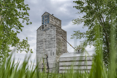 Weathered grain elevator on the prairies; Saskatchewan, Canada Poster Print by Robert Postma (19 x 12) # 12577842
