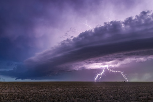 Dramatic storm clouds with forked lightning over farmland; Guymon, Oklahoma, United States of America Poster Print by Stuart Short (19 x 12) # 12578069