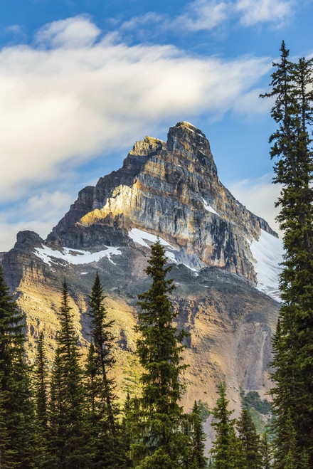 Mountain cliff peak dramatically lit by the sun with blue sky and clouds, Yoho National Park; Field, British Columbia, Canada Poster Print by Michael Interisano (12 x 19) # 12590762