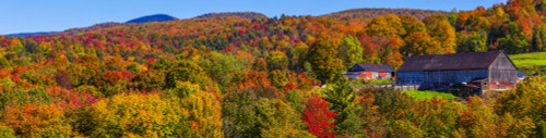 Vibrant autumn coloured foliage in the forests on the mountains and a barn; Quebec, Canada Poster Print by David Chapman (43 x 10) # 12639971