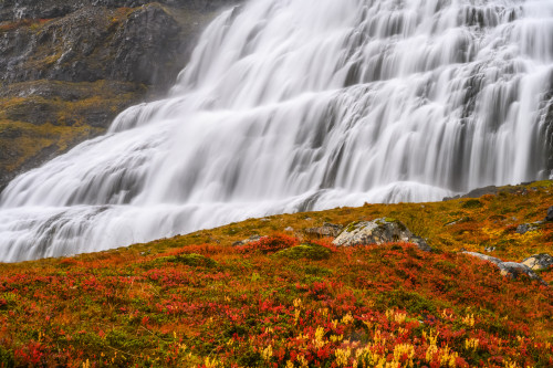 Dynjandi (also known as Fjallfoss) is a series of waterfalls located in the Westfjords, Iceland The waterfalls have a total height of 100 metres; Isafjardarbaer, Westfjords, Iceland Poster Print by Keith Levit (19 x 12) # 13185484