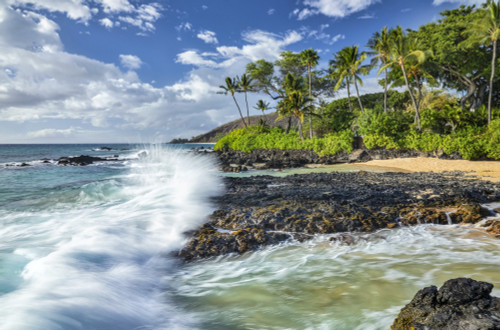 Coastline of Maui with rugged lava rock, palm trees, and a beach; Kihei, Maui, Hawaii, United States of America Poster Print by Vic Schendel (19 x 12) # 13296555