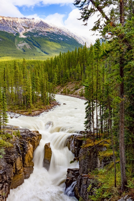 Sunwapta Falls, Sunwapta River, Jasper National Park; Alberta, Canada Poster Print by The Nature Collection (12 x 19) # 12575499