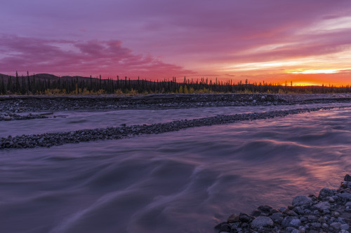 Sunset over the Muddy River in Denali National Park and Preserve; Alaska, United States of America Poster Print by Steven Miley (18 x 12) # 12573779