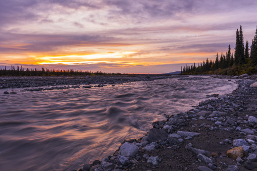 Sunset over the Muddy River in Denali National Park and Preserve; Alaska, United States of America Poster Print by Steven Miley (19 x 12) # 12573778