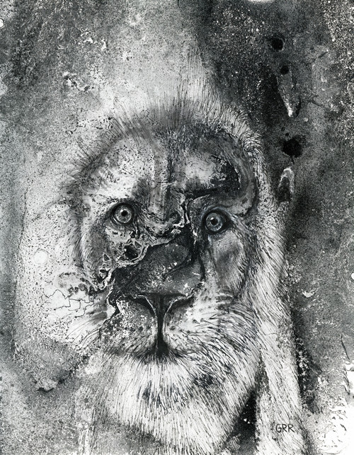 Black And White Illustration Of A Lion's Face Poster Print by Glen Ronald (13 x 17) # 12322435 Black And White Illustration Of A Lion's Face Poster Print by Glen Ronald (13 x 17) # 12322435