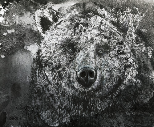 Black And White Illustration Of A Bear Poster Print by Glen Ronald (17 x 14) # 12322424 Black And White Illustration Of A Bear Poster Print by Glen Ronald (17 x 14) # 12322424