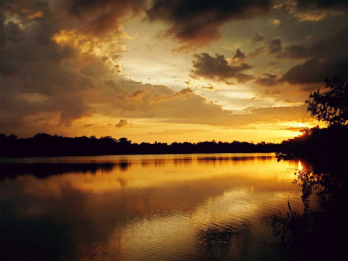 Yellow Sunset Poster Print by Gail Peck # 12384B