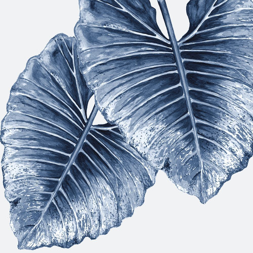 Royal Elephant Ears Poster by Urban Road (24 x 24)