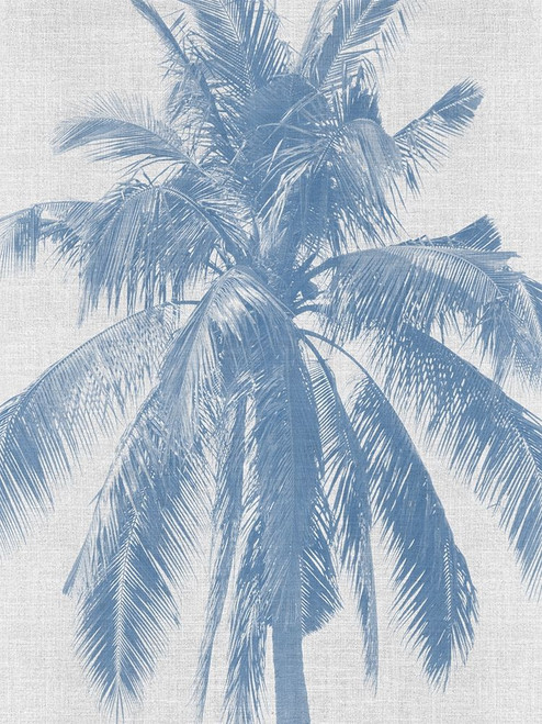 Denim Palms I Poster by Urban Road (18 x 24)