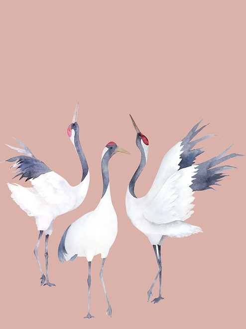 Cranes Poster by Urban Road (18 x 24)