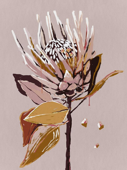 Blush Protea by Urban Road (18 x 24)