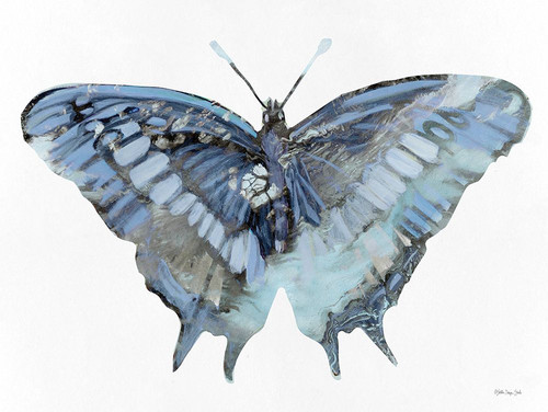 Blue Butterfly by Stellar Design Studio (24 x 18)