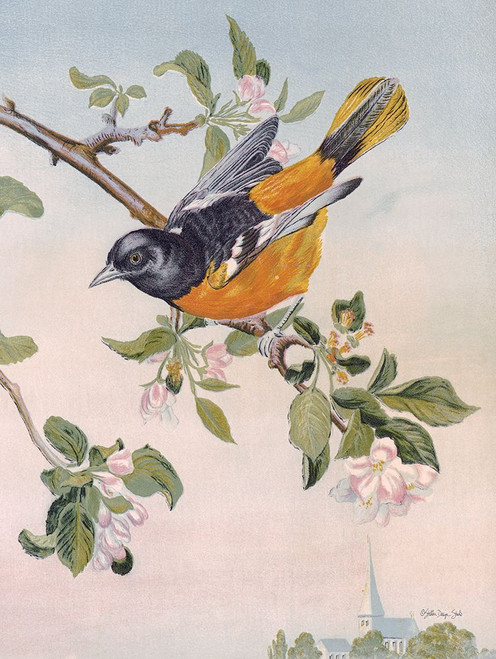 Spring Song Bird by Stellar Design Studio (18 x 24)