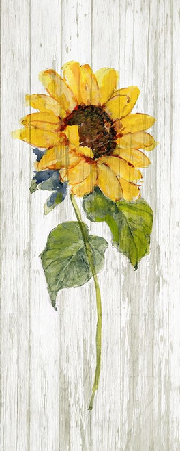 Sunflower in Autumn I by Sally Swatland (10 x 24)