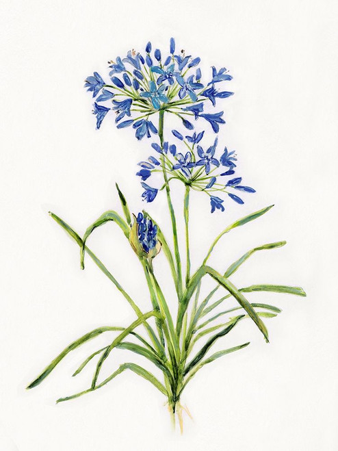Blue Lively Botanical I by Sally Swatland (18 x 24)