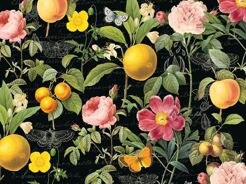 Botanical Flowers by Lula Bijoux and Company (24 x 18)