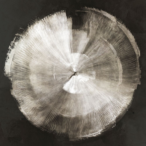 Touch of Silver by PI Studio (12 x 12)