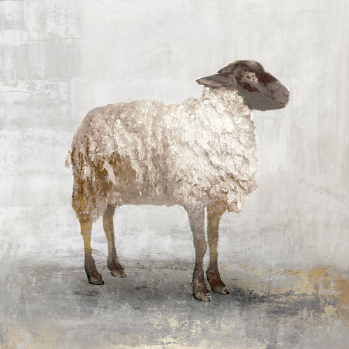 Rustic White Sheep by Pi Studio (12 x 12)