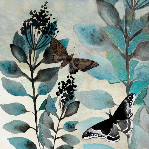 Butteryfly Perspective 3 by Boho Hue Studio (24 x 24)