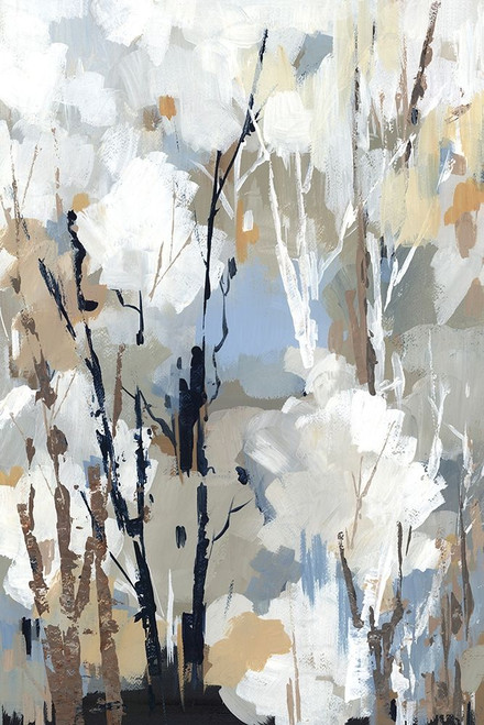 Silversong Birch II by Lera (18 x 24)
