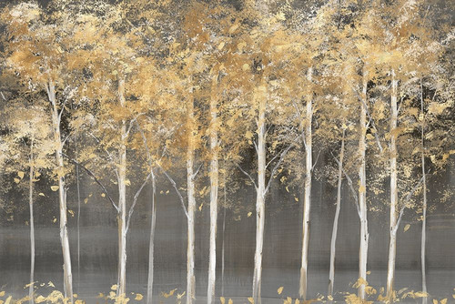Golden Forest Light by Isabelle Z (24 x 18)