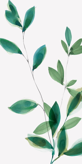 Growing Green I by Isabelle Z (12 x 24)