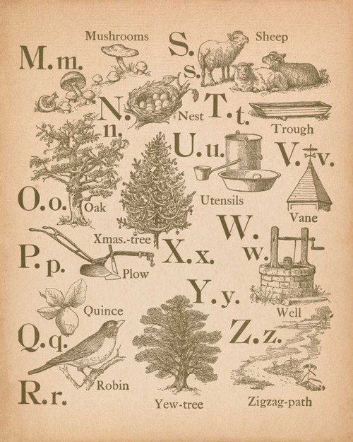 Vintage Alphabet II by Wild Apple Portfolio (19 x 24)