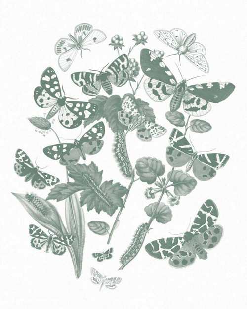 Butterfly Bouquet IV Sage by Wild Apple Portfolio (18 x 24)