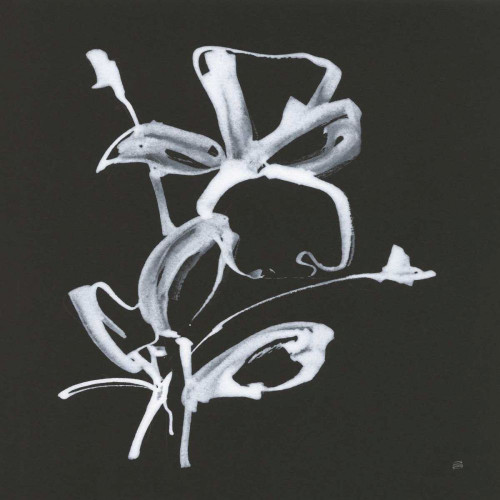 Wildflowers II by Chris Paschke (12 x 12)