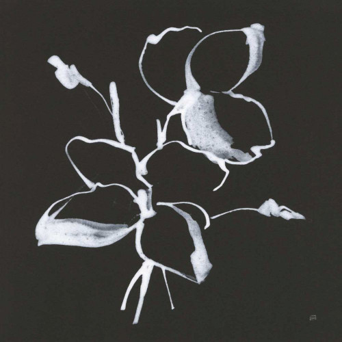 Wildflowers IV by Chris Paschke (12 x 12)