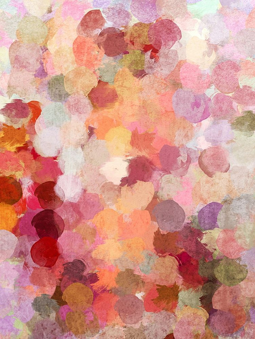 Bohemian Color Expression VIII by Irena Orlov (18 x 24)