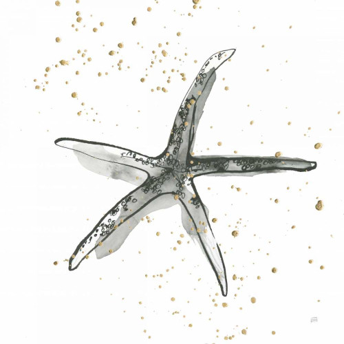 Starfish III by Chris Paschke (24 x 24)
