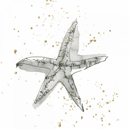 Starfish I by Chris Paschke (24 x 24)