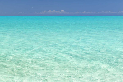 Bahamas, Little Exuma Island Aqua ocean water by Don Paulson (24 x 18)