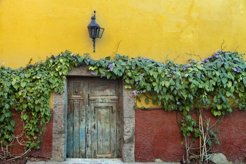 Mexico Doorway to colorful building by Don Paulson (24 x 15)